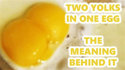 two yolks in one egg meaning superstition